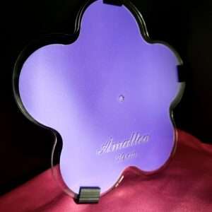 Guía Flor 5 pétalos 20cm